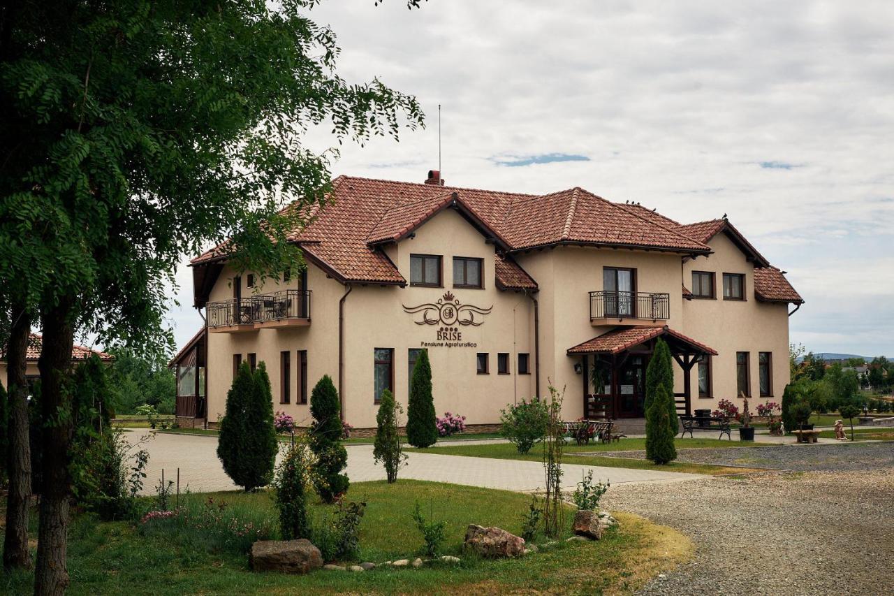 Pensiunea Brise Mediesu Aurit Exterior photo