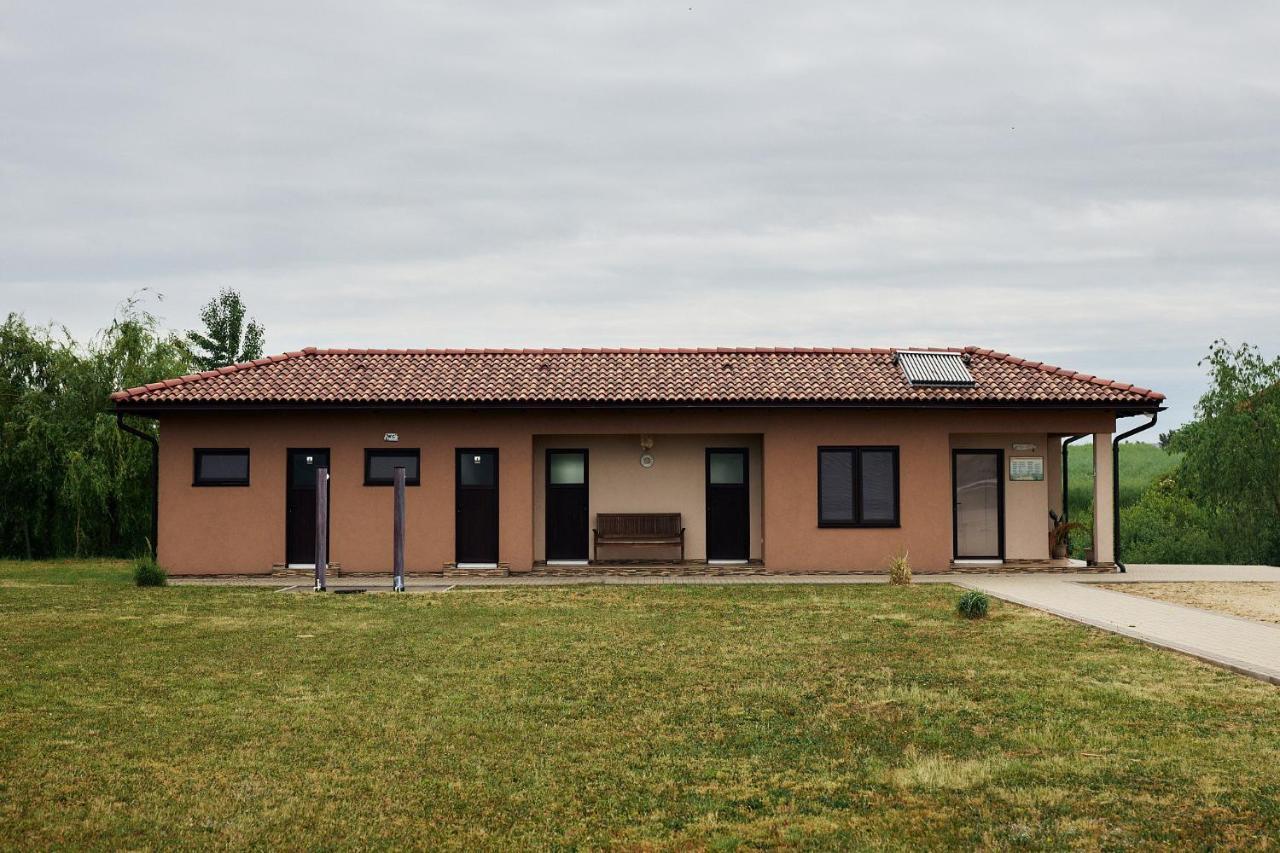 Pensiunea Brise Mediesu Aurit Exterior photo