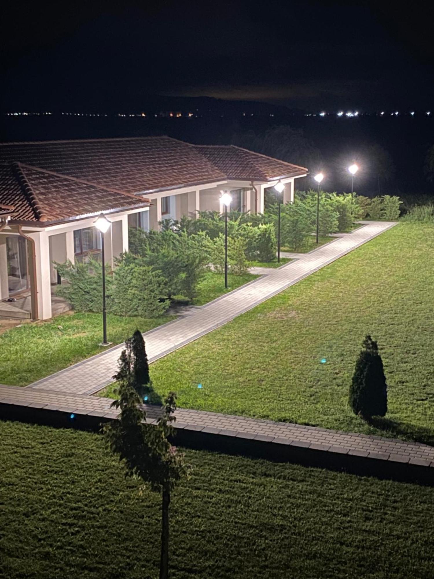 Pensiunea Brise Mediesu Aurit Exterior photo